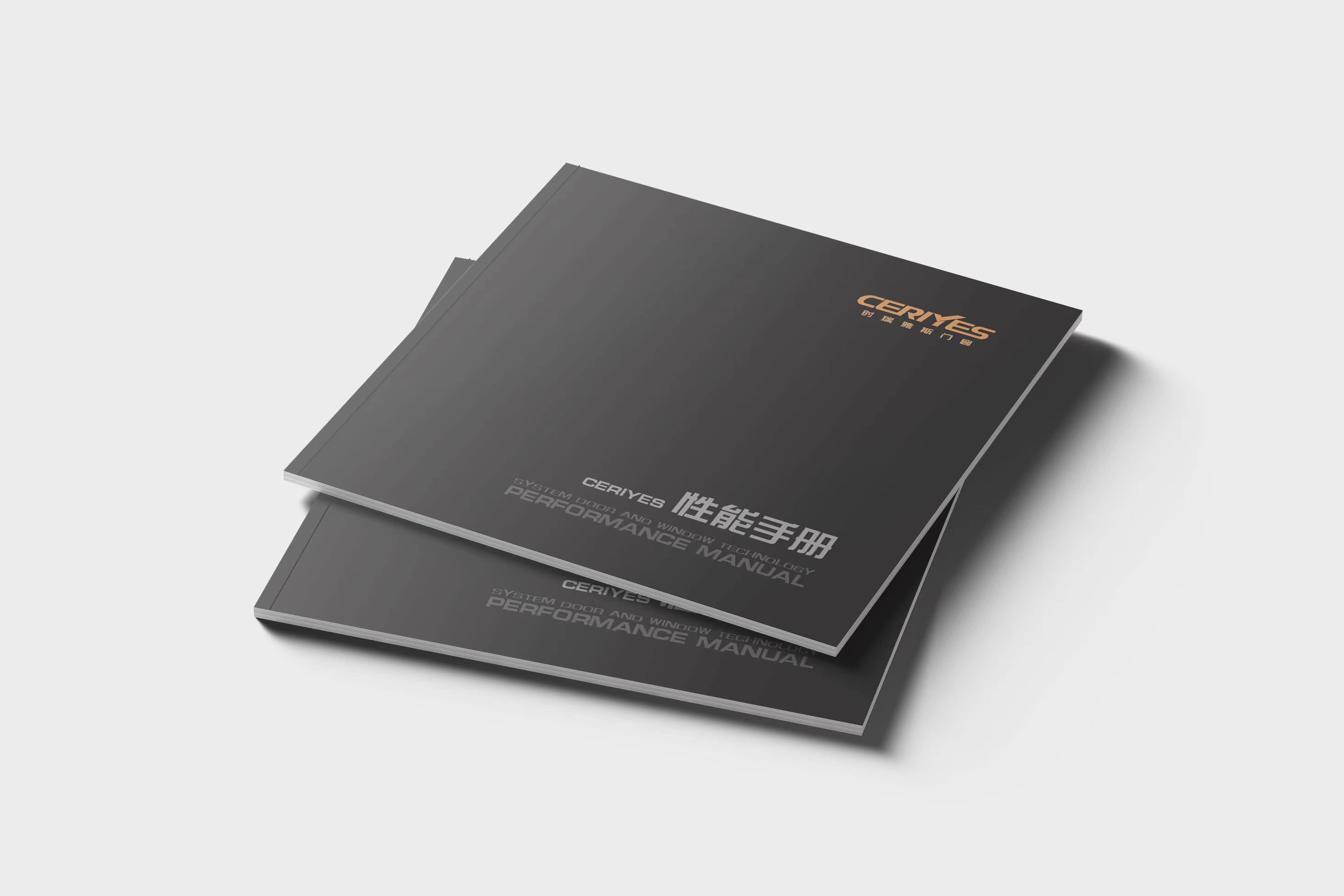 時(shí)瑞雅斯?fàn)I銷畫冊(cè)